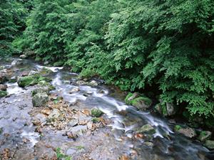 大阪梅田の快適ビジネスホテル｜東横INN大阪梅田東の特徴と便利なアクセス情報