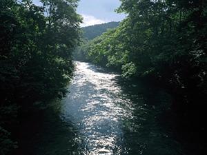 【2024年最新版】東横INN八潮駅前の魅力と特徴：快適なビジネス＆観光拠点としての最適な選択肢