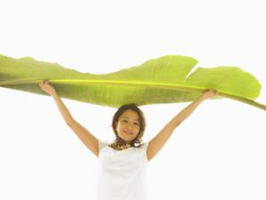 那須高原のコテージなら那須ビレッジ