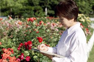 自然に囲まれた松本市の温泉旅館