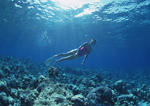 奈良で快適な滞在を実現！東横INN奈良王寺駅南口の魅力と特徴