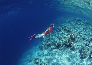 姫路駅から徒歩5分の快適ビジネスホテル【東横INN姫路駅新幹線北口】の魅力と店舗情報