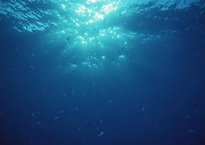 豊橋駅から近いところにあるホテル