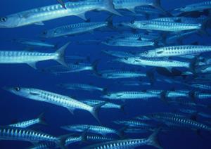 くつろぎと癒しの空間を提供するホテルプラザアネックス横手の魅力と詳細情報