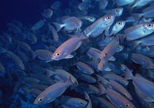 【公式ガイド】東横INN山手線大塚駅北口2の魅力と詳細情報