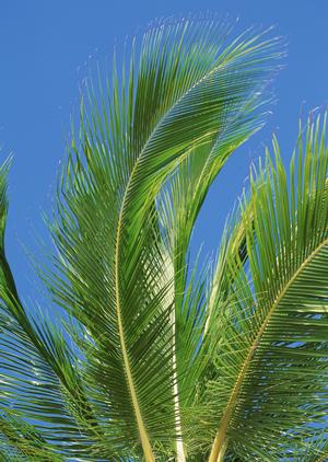 姫路駅から徒歩1分！快適な滞在を提供する東横INN姫路駅新幹線南口の魅力と特徴