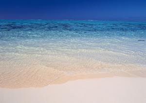 愛知県安城市のビジネスホテル【東横INN三河安城駅新幹線南口1】の詳細ガイド