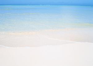 新宿駅至近！国内最大級のアミューズメントカジノ「カジスタ東京」の魅力と詳細情報