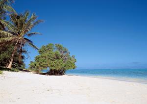家族で楽しむ石垣島アクティビティガイド：安全で学びのある体験を満喫しよう