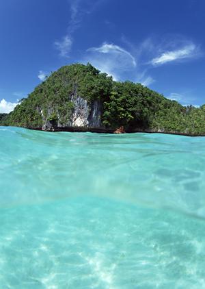 こだわりの韓国ツアーが実現できる会社