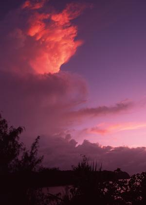 福島県郡山市にある東横INN郡山：便利なアクセスと充実の設備を誇るビジネスホテル