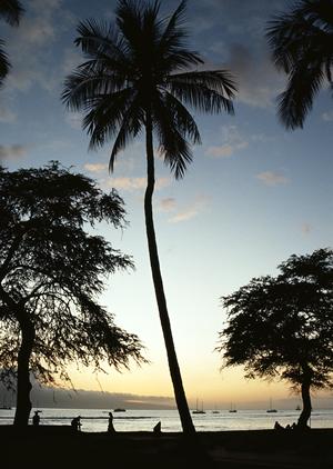 静岡市のビジネスホテル｜東横INN静岡駅南口：快適な滞在と便利なアクセスを実現