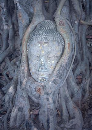 北海道函館駅前の快適なビジネスホテル｜東横INN函館駅前朝市の魅力と概要