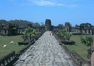 レンタカーは目的に合わせた選択を
