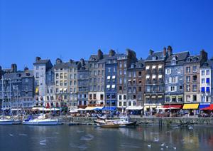 志木駅近くの快適な滞在を提供！東横INN志木駅東口の魅力と設備ガイド