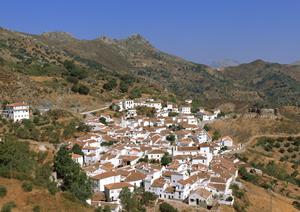 秋田駅東口すぐ！便利な立地と快適なサービスを誇る東横INN秋田駅東口の魅力と詳細ガイド