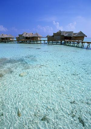 横浜市のビジネスホテル「東横INN横浜スタジアム前2」の魅力と詳細情報