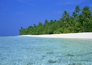 横浜観光とビジネスニーズに応える！【東横INN横浜関内】の魅力と詳細情報