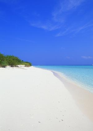 東横INN大阪伊丹空港：便利な立地と快適な宿泊体験を提供するビジネスホテル