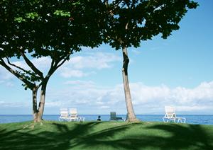 東横INN名鉄知立駅前｜アクセス抜群のビジネスホテルで快適な滞在を実現